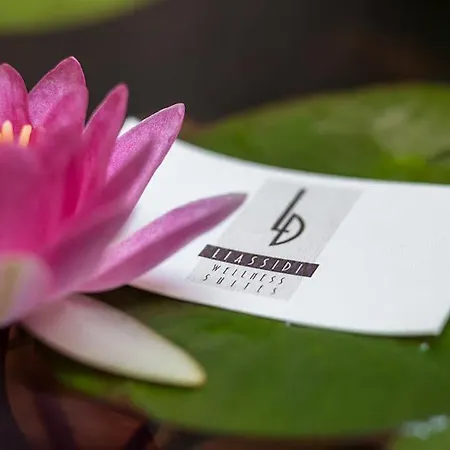 Liassidi Wellness Hotell