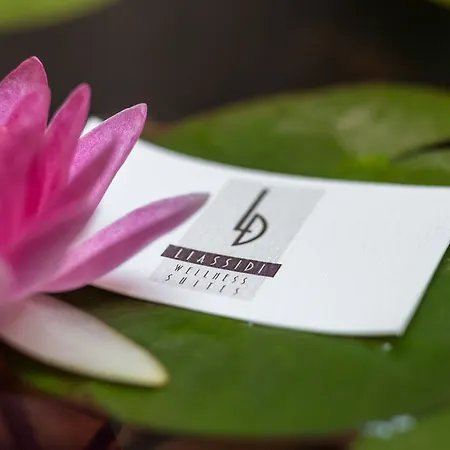 Liassidi Wellness Hotell